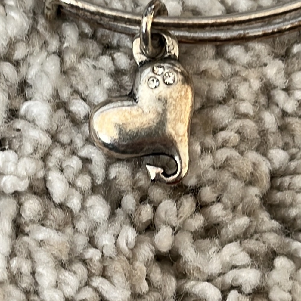 Alex and Ani heart and love charm bracelet set - Picture 2 of 8